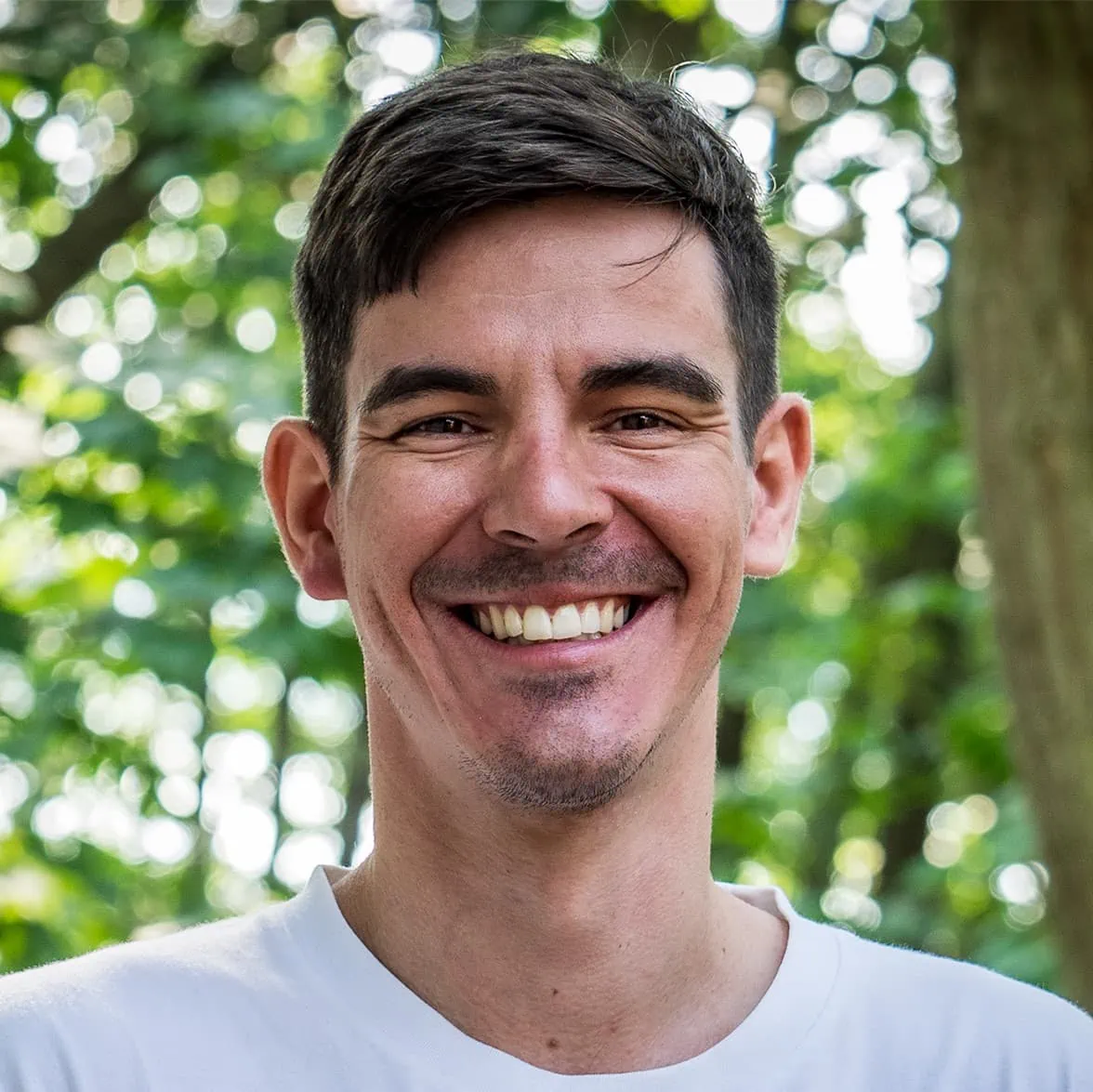 Portrait von Dr. David Seibert